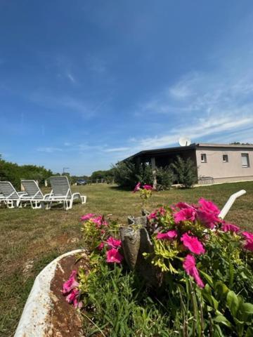 Holiday Home Lavanda Pula Exterior photo
