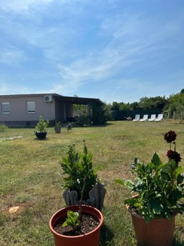 Holiday Home Lavanda Pula Exterior photo